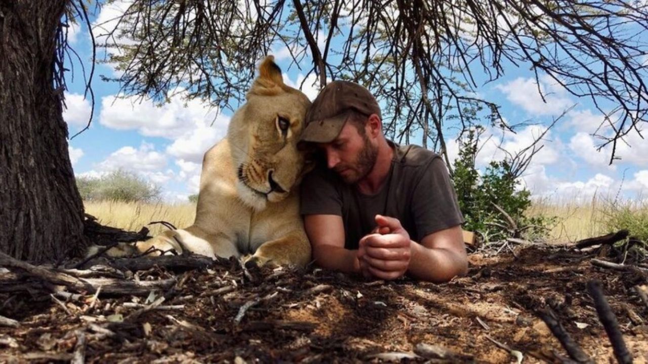 Lioness Repays Her Caregiver With Hugs and Cuddles