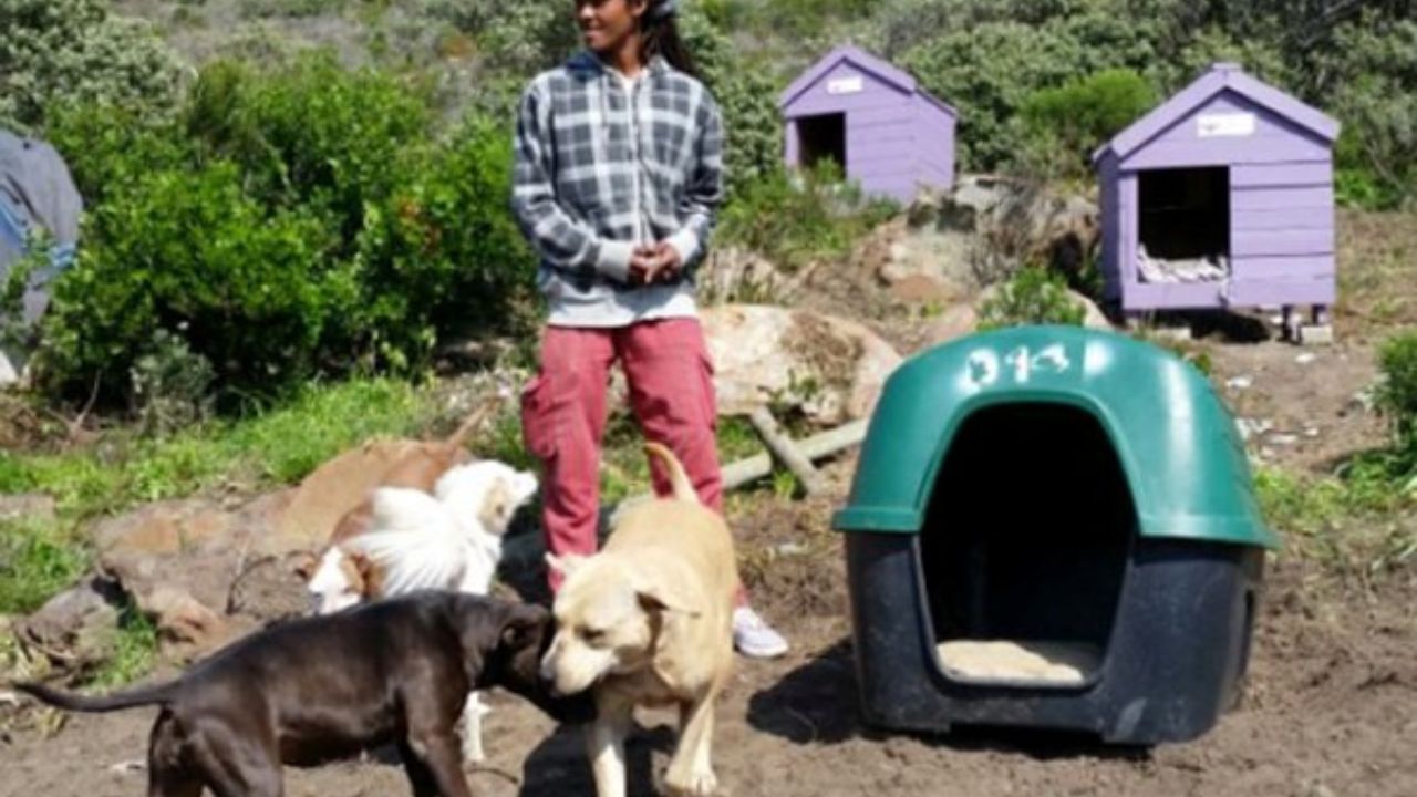 A 23-Year-Old Guy Has Been Rewarded With A Family Of Dogs But Was Kicked Out Of His House For Helping Animals