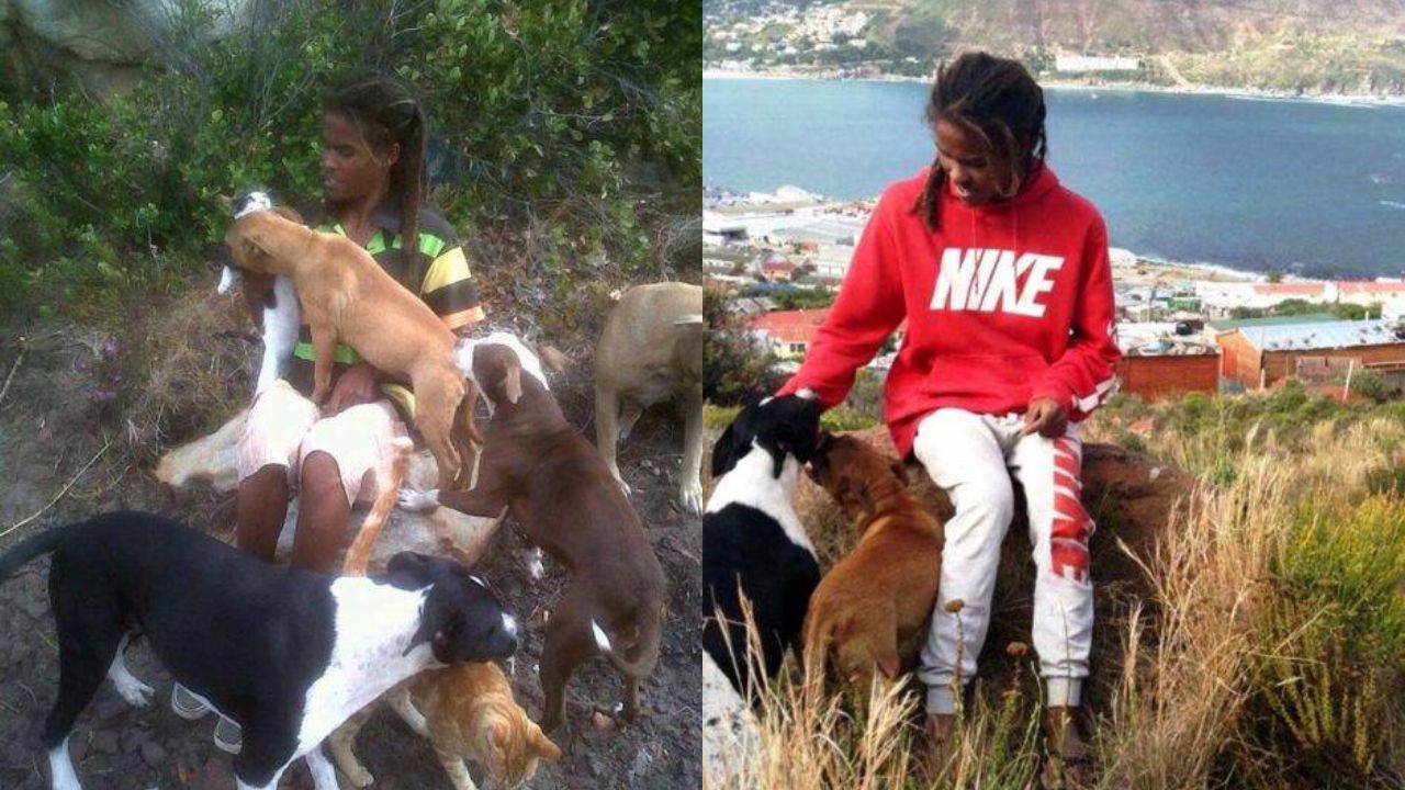 A 23-Year-Old Guy Has Been Rewarded With A Family Of Dogs But Was Kicked Out Of His House For Helping Animals
