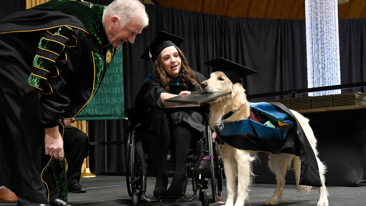 The University Awarded A Service Dog A Degree For Helping His Owner Complete Graduate School