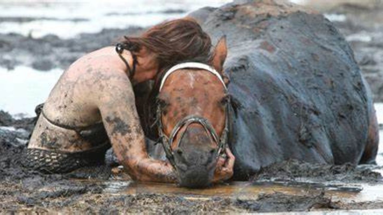 A Woman Stays By Her Horse Side For Three Hours