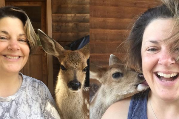 Baby Deer Left On His Own Runs Up To Family And Begs For Help